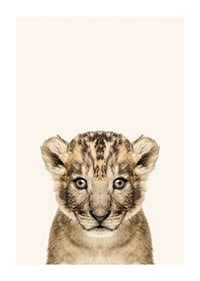 Portrait of lion cub against light beige background, photographic style-1