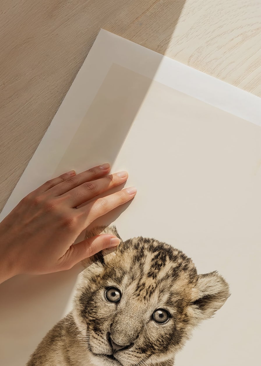 Portrait of lion cub against light beige background, photographic style-12