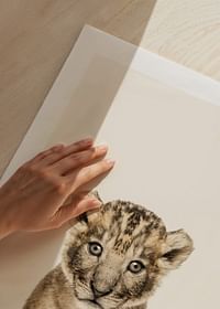 Baby Lion-5