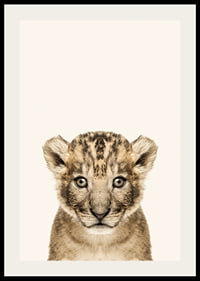 Portrait of lion cub against light beige background, photographic style-2