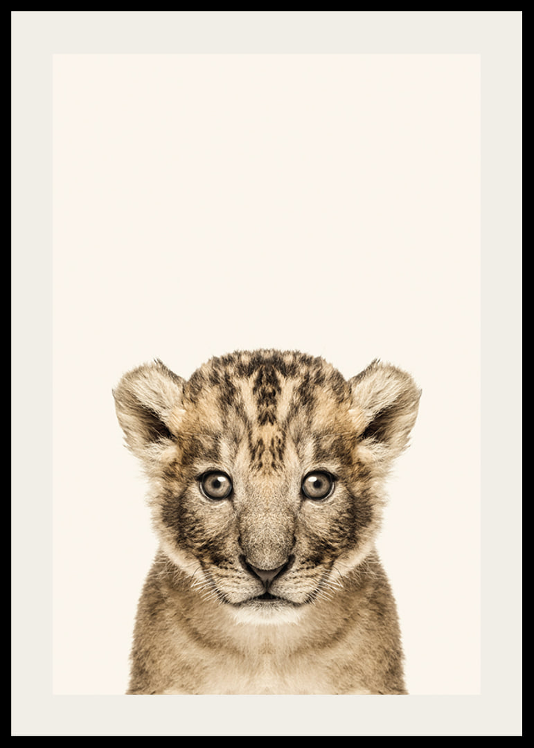 Portrait of lion cub against light beige background, photographic style-12