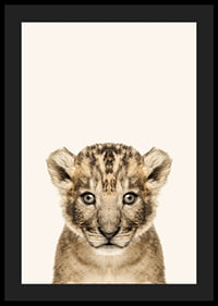 Portrait of lion cub against light beige background, photographic style-4