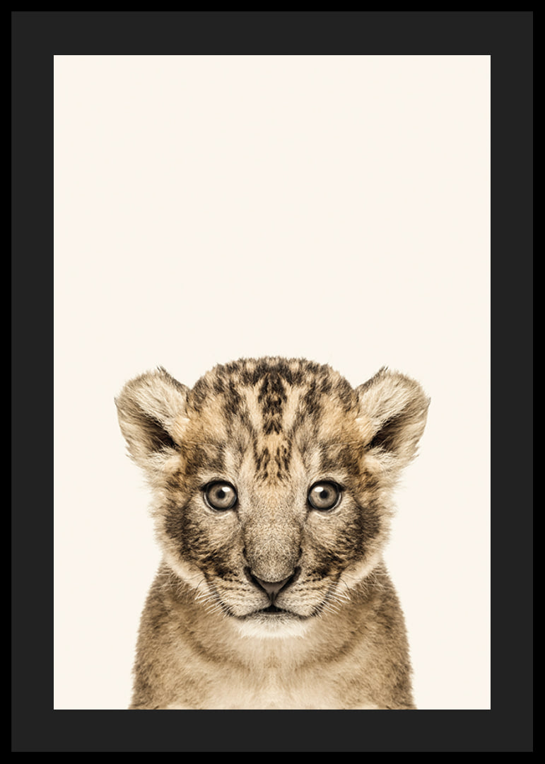 Portrait of lion cub against light beige background, photographic style-12