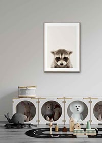 Close-up of baby raccoon against light beige background-8