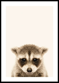 Close-up of baby raccoon against light beige background-0