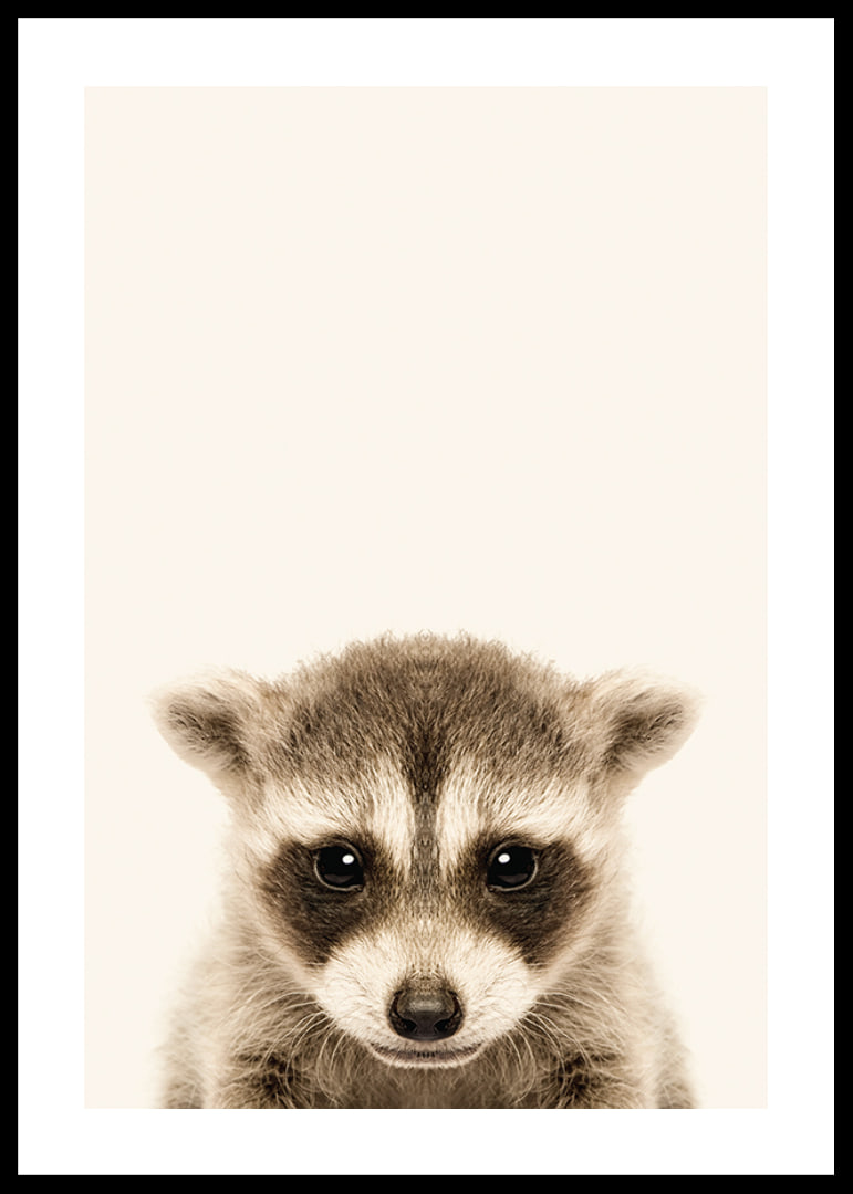 Close-up of baby raccoon against light beige background-12