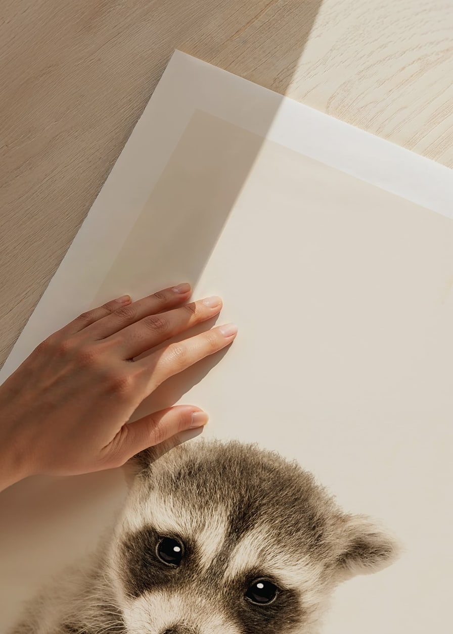 Close-up of baby raccoon against light beige background-12