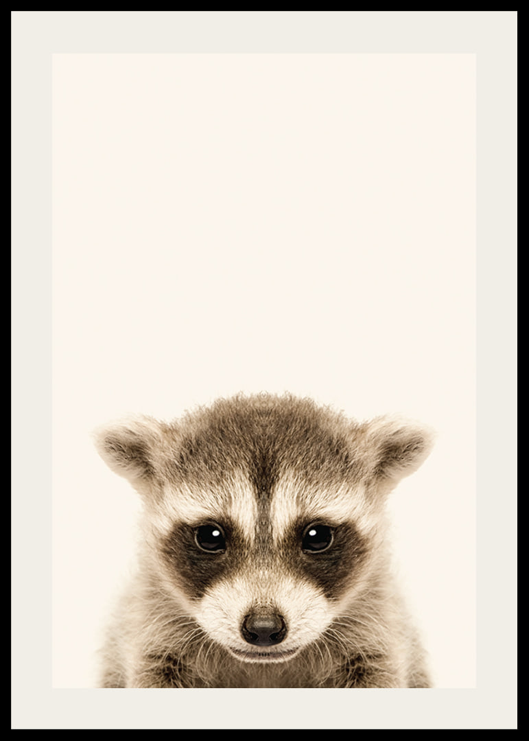 Close-up of baby raccoon against light beige background-12