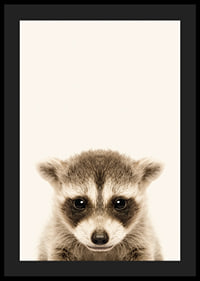 Close-up of baby raccoon against light beige background-4