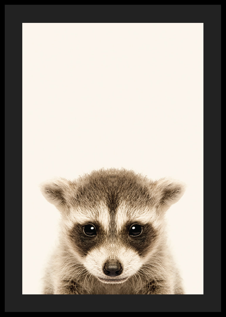 Close-up of baby raccoon against light beige background-12