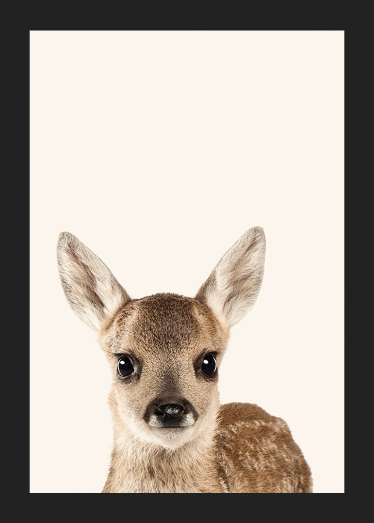 Nahaufnahme eines Hirschkalbs vor hellbeigem Hintergrund, fotografisch-12
