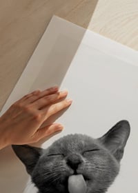 Svartvit närbild av kattunge med utsträckt tunga-9