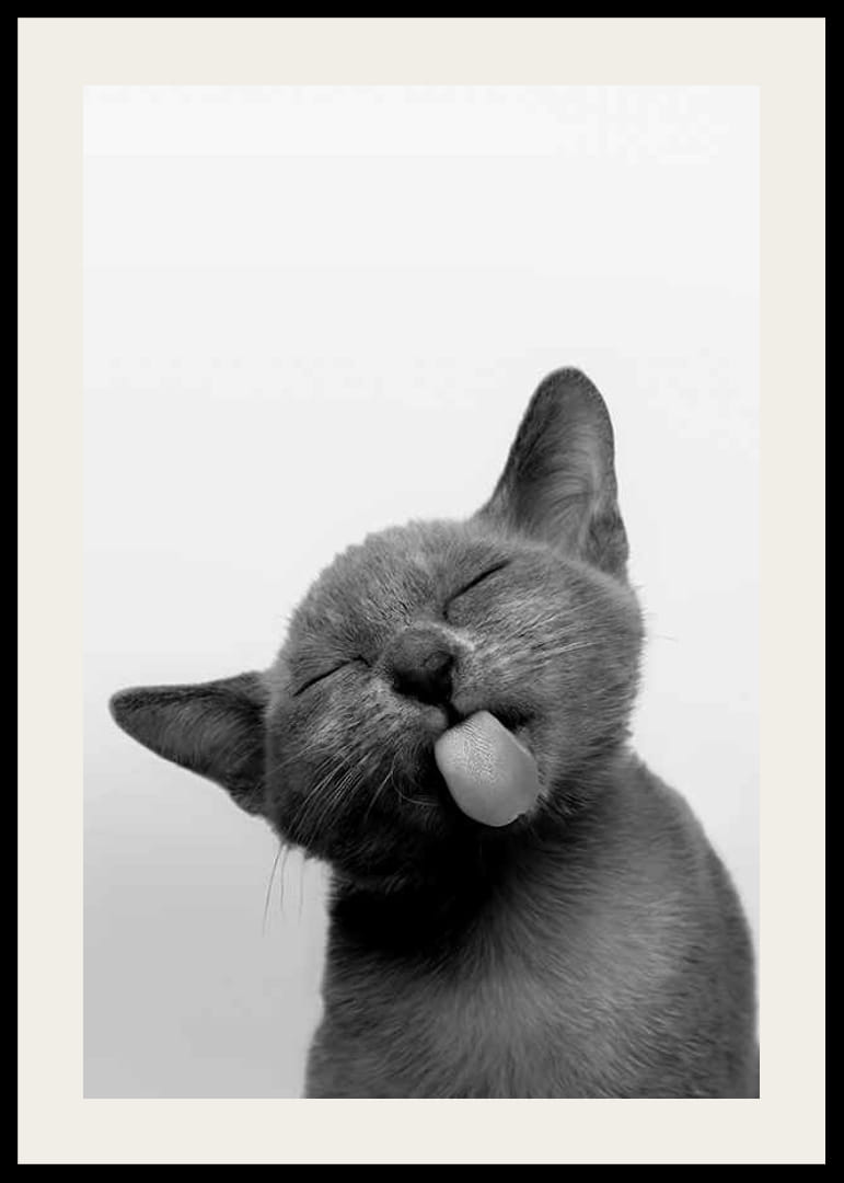 Fekete-fehér közeli kép egy kinyújtott nyelvű cicáról-12