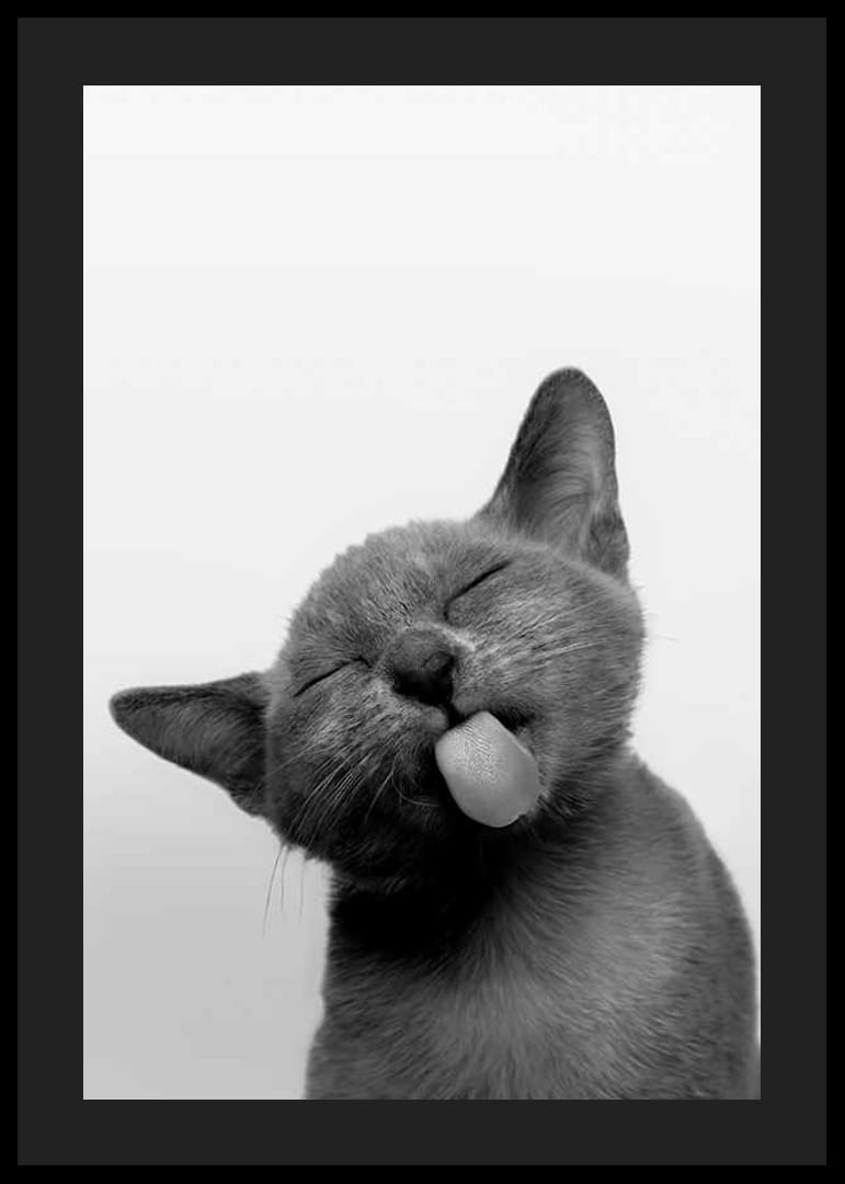 Fekete-fehér közeli kép egy kinyújtott nyelvű cicáról-12