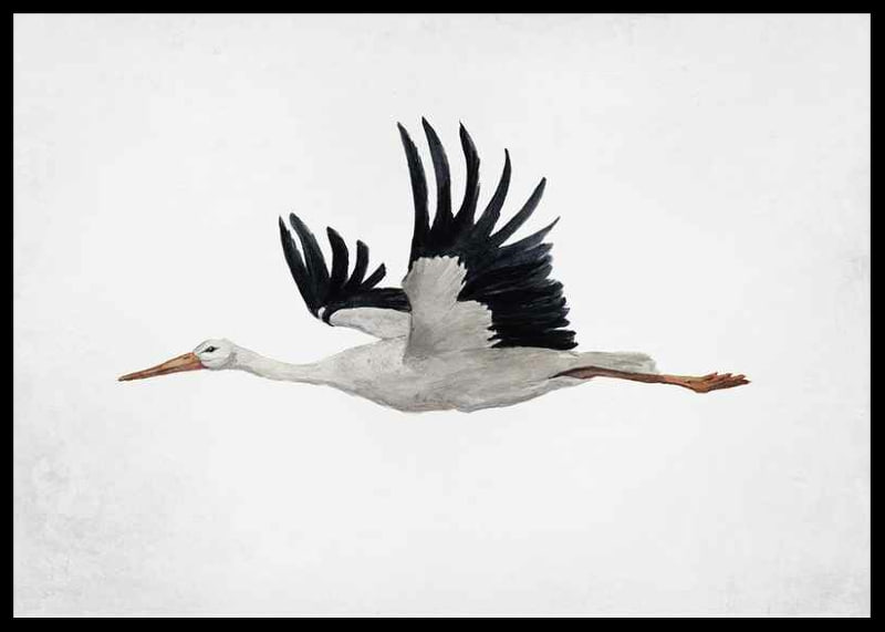 Watercolor of flying stork with black wings on light background-12