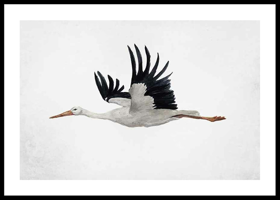 Watercolor of flying stork with black wings on light background-12