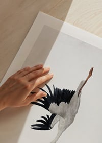 Watercolor of flying stork with black wings on light background-9