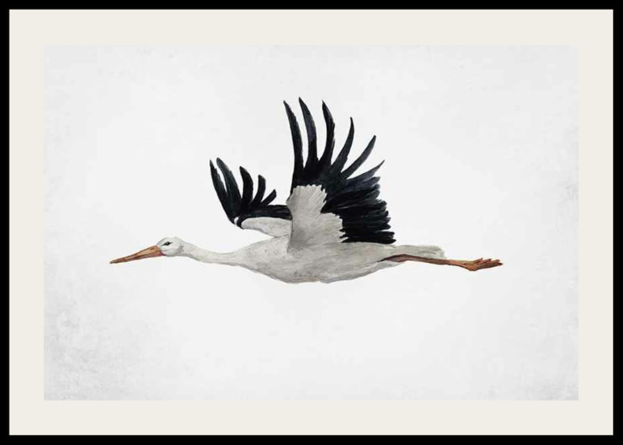 Watercolor of flying stork with black wings on light background-12