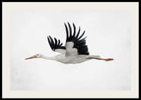 Akvarel lietajúceho bociana s čiernymi krídlami na svetlom pozadí-2