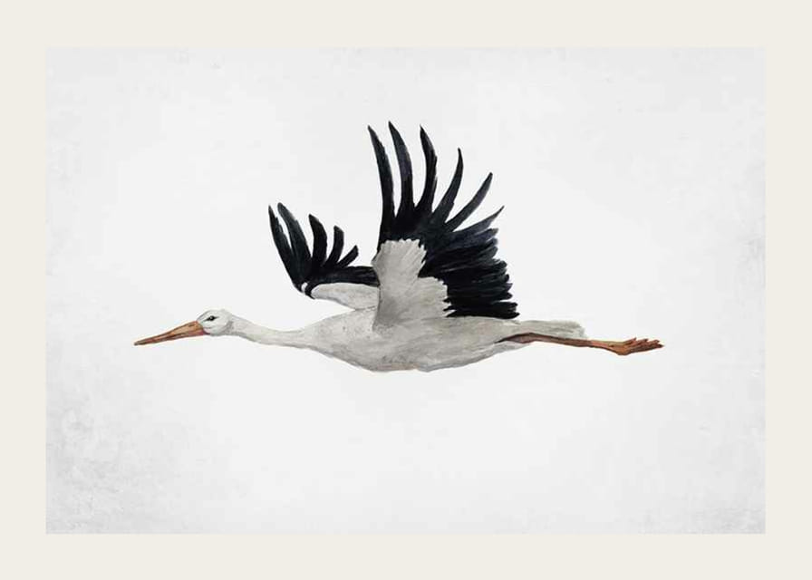 Akvarel lietajúceho bociana s čiernymi krídlami na svetlom pozadí-12
