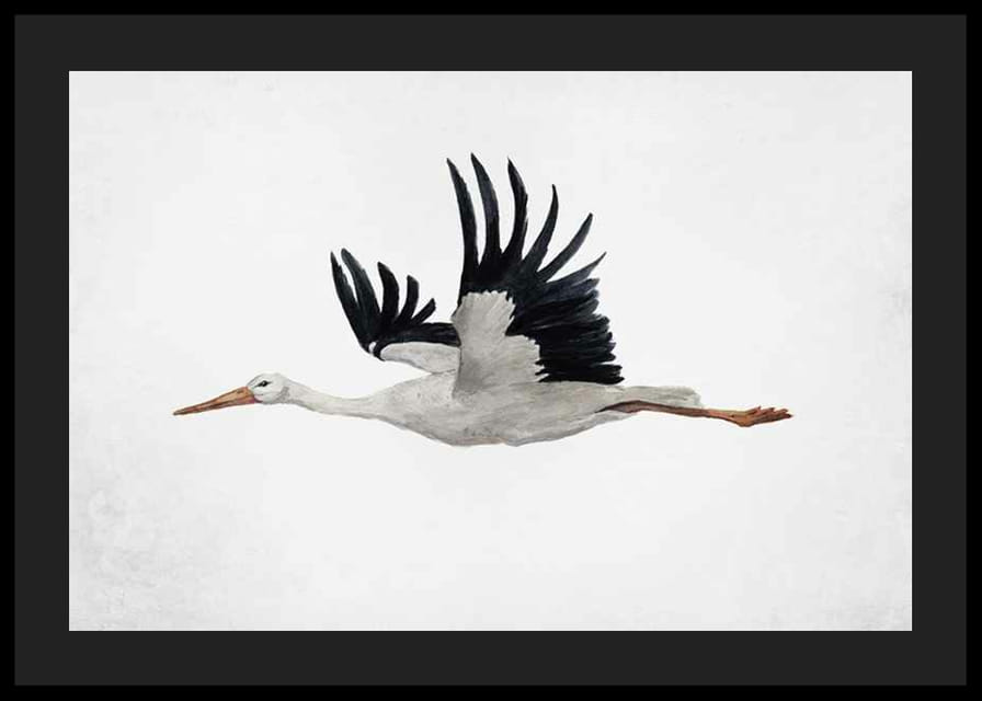 Akvarel lietajúceho bociana s čiernymi krídlami na svetlom pozadí-12