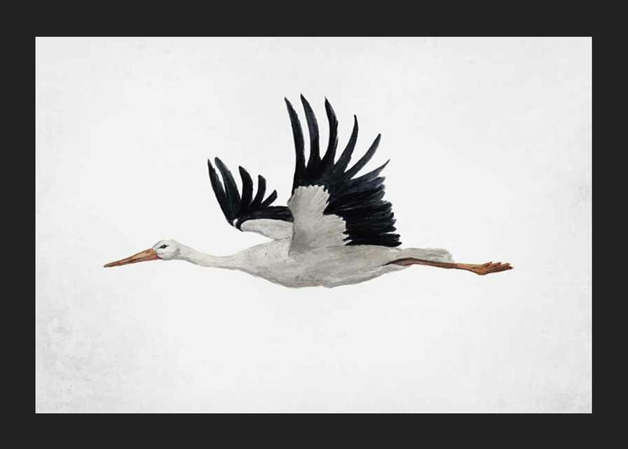 Akvarel lietajúceho bociana s čiernymi krídlami na svetlom pozadí-12