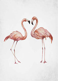 Akvarell av två rosa flamingos mot ljus grå bakgrund-7