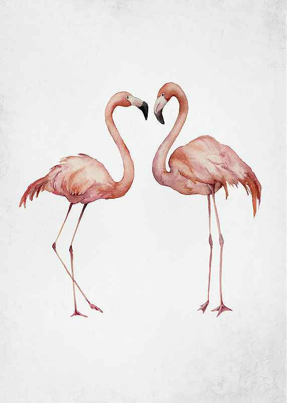 Watercolor Flamingos-12