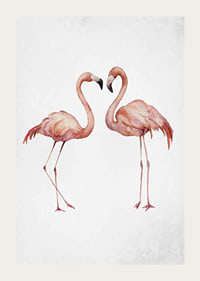 Akvarell av två rosa flamingos mot ljus grå bakgrund-3