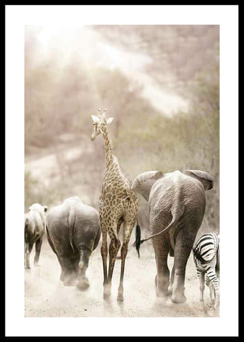 Poster Wild African Animals