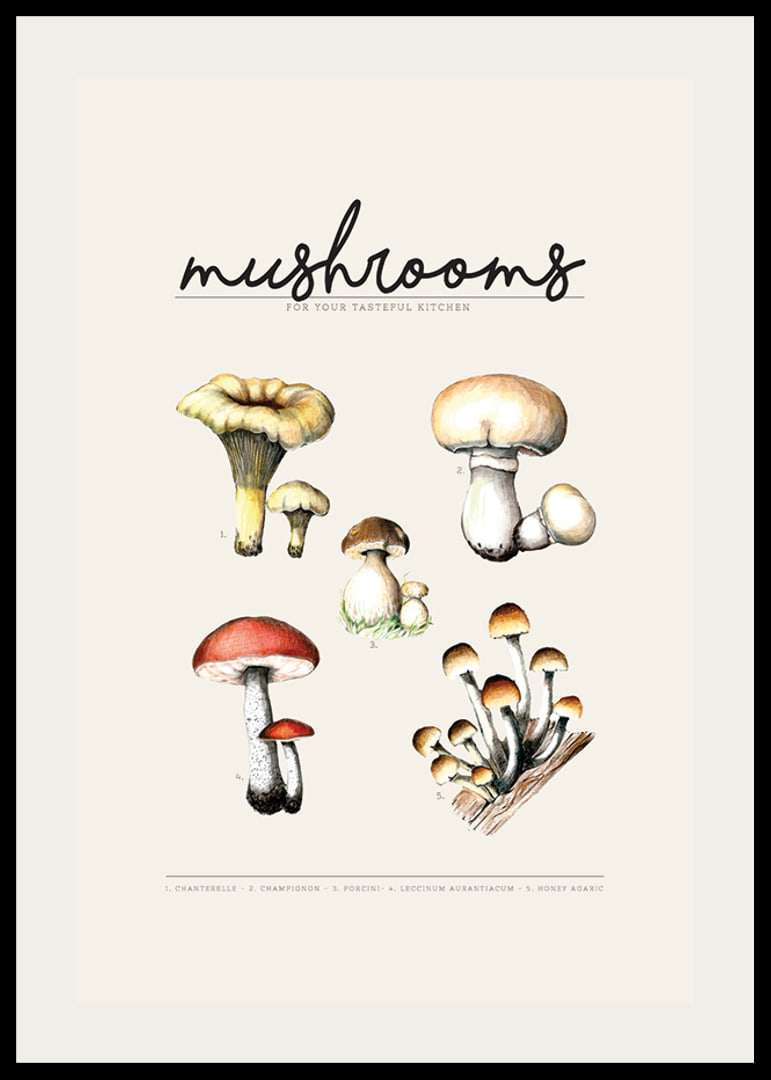 Illustrated edible mushrooms in color on beige background-12