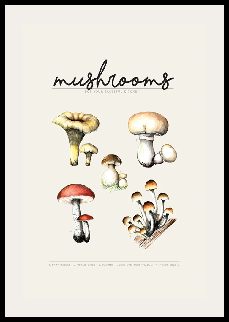 Illustrated edible mushrooms in color on beige background-12