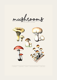 Illustrated edible mushrooms in color on beige background-3