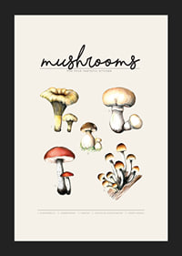 Illustrated edible mushrooms in color on beige background-5