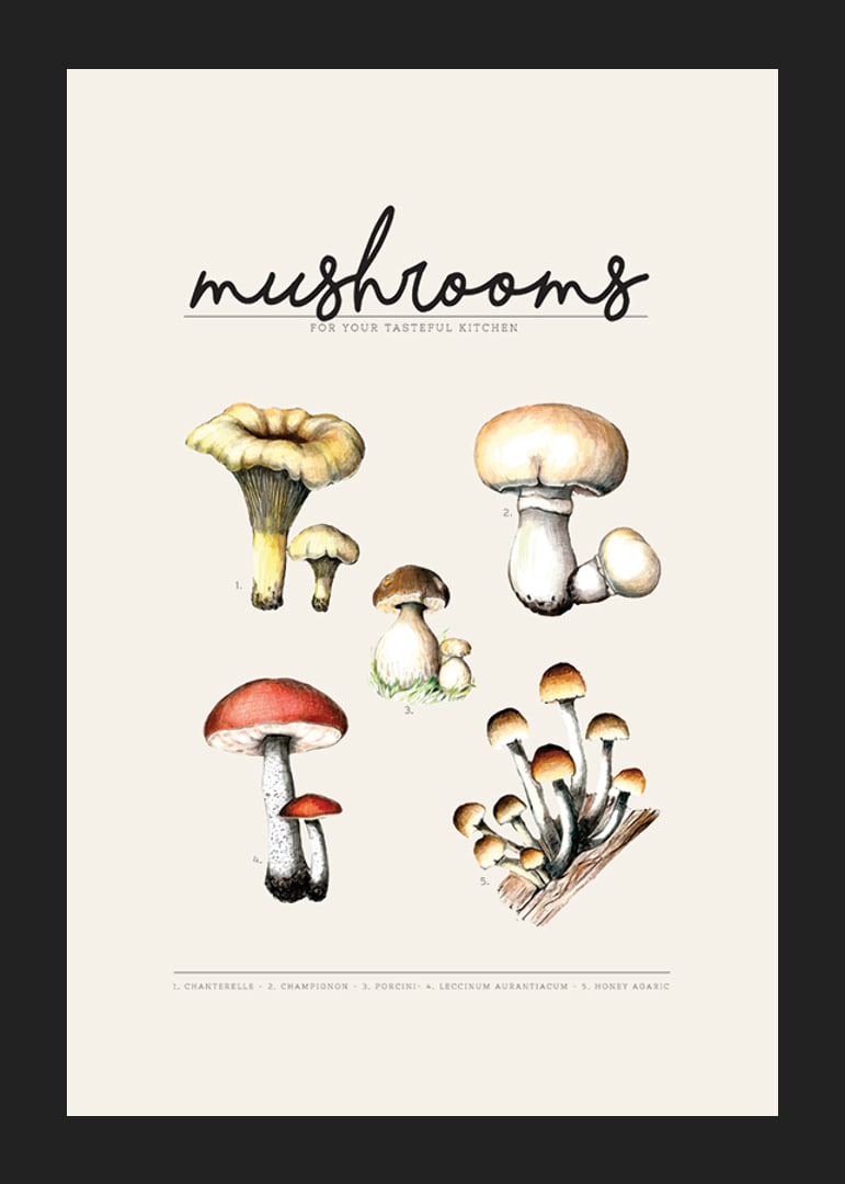 Illustrated edible mushrooms in color on beige background-12