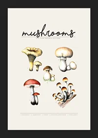 Illustrated edible mushrooms in color on beige background-5