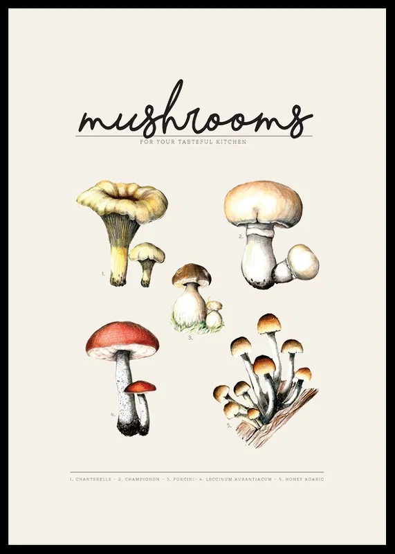 Illustrated edible mushrooms in color on beige background-12