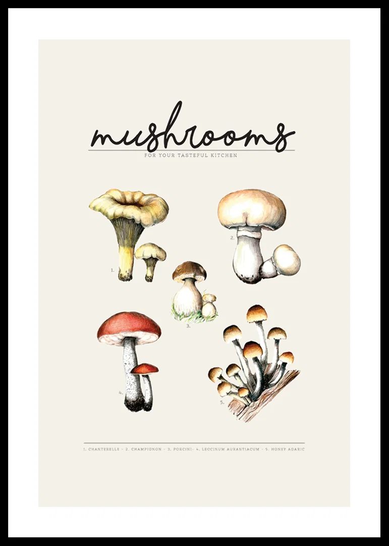 Illustrated edible mushrooms in color on beige background-12
