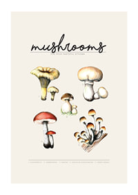 Illustrated edible mushrooms in color on beige background-1