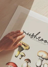 Illustrated edible mushrooms in color on beige background-9