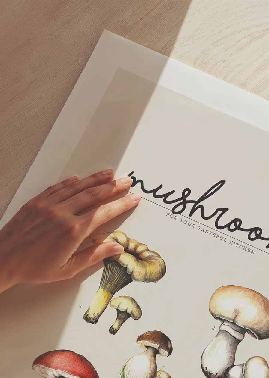 Illustrated edible mushrooms in color on beige background-12