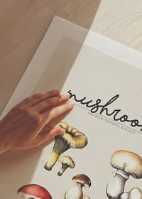 Mushrooms-5