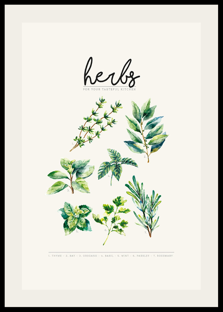 Aquarelillustratie van zeven kruiden in groene tinten op beige achtergrond-12