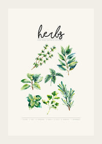 Aquarelillustratie van zeven kruiden in groene tinten op beige achtergrond-3