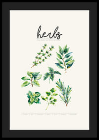 Aquarelillustratie van zeven kruiden in groene tinten op beige achtergrond-4