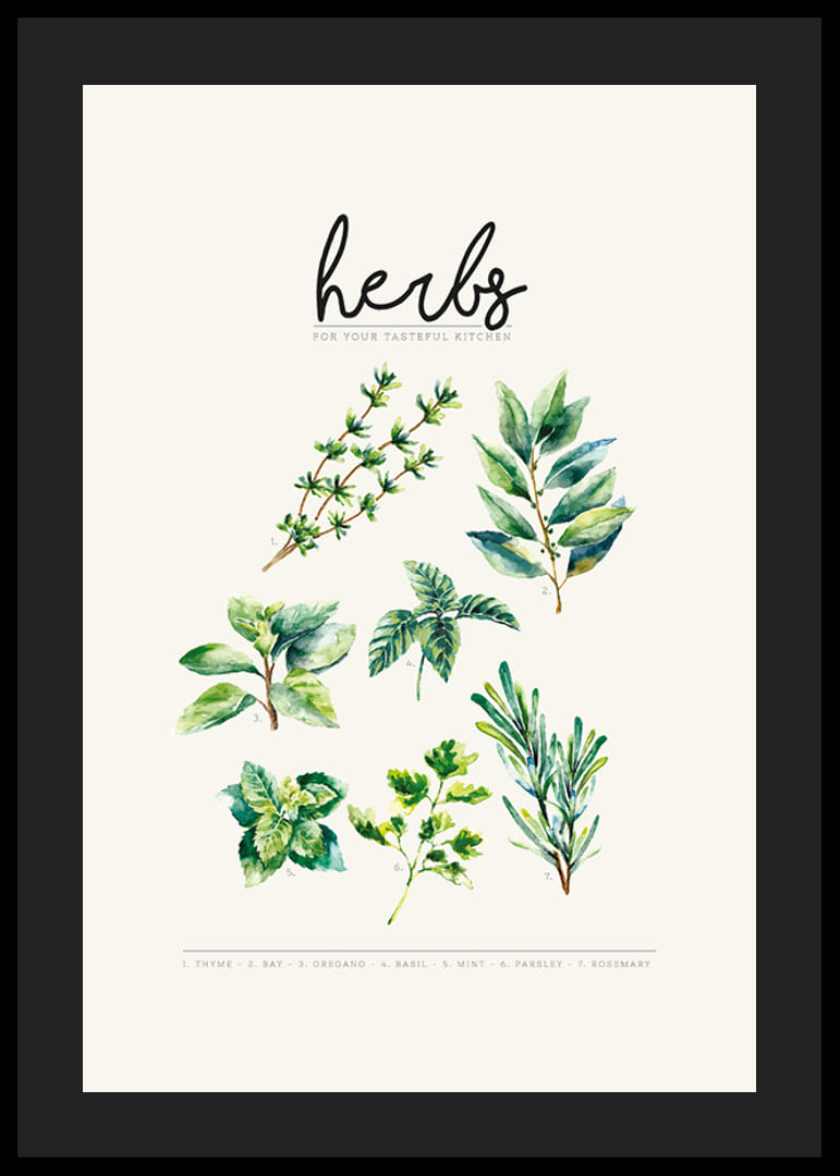 Aquarelillustratie van zeven kruiden in groene tinten op beige achtergrond-12