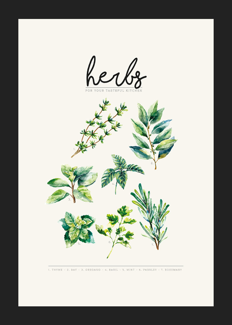 Aquarelillustratie van zeven kruiden in groene tinten op beige achtergrond-12