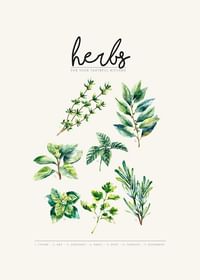 Herbs-3