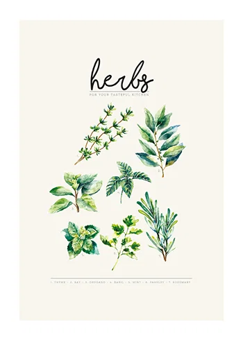 Poster Herbs