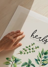 Akwarelowa ilustracja przedstawiająca siedem ziół w odcieniach zieleni na beżowym tle-9